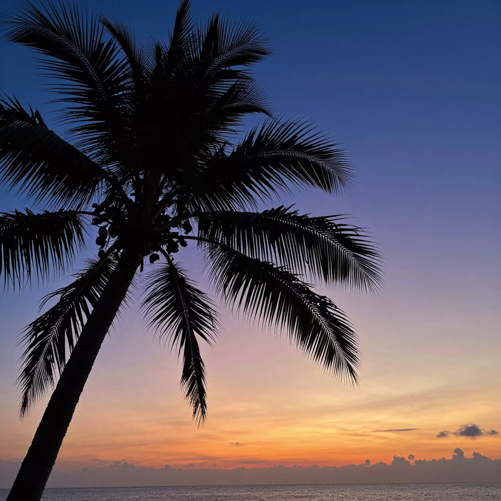 Silhouetted Palm Against Maldives Sunset Sky in in Maldives