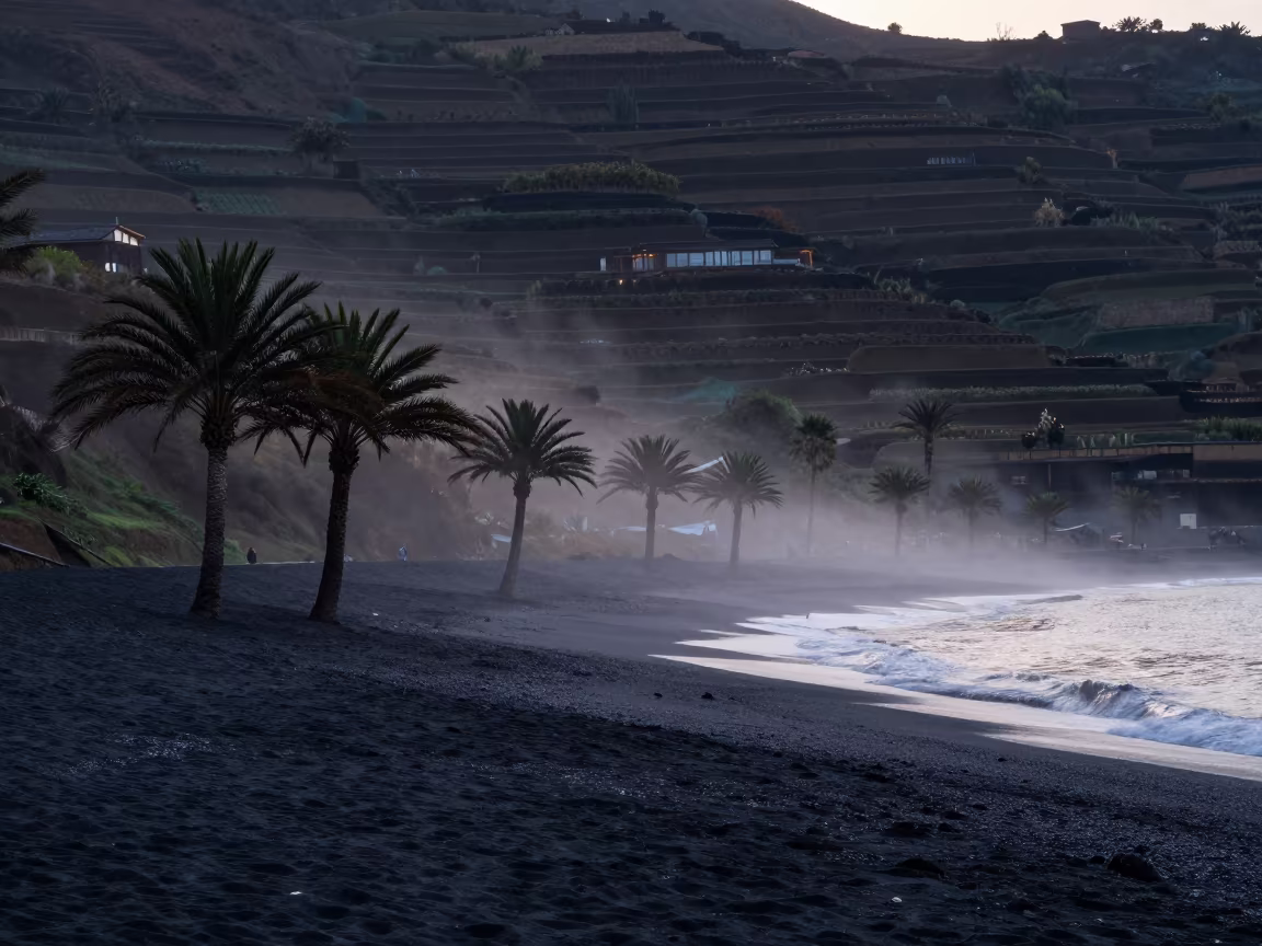 Silhouetted Palms on Black Sand Beach Mist in among terraced garden plots in Yunnan