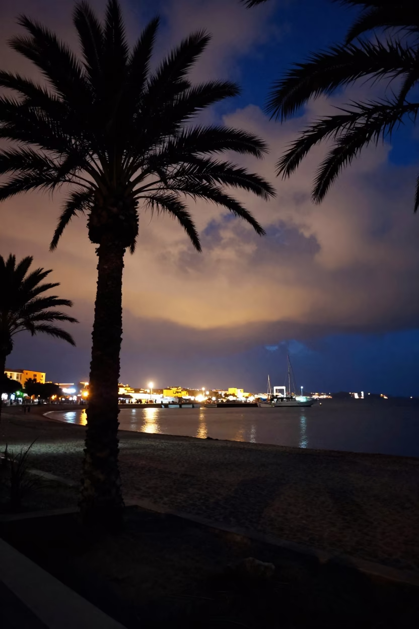 Silhouetted Palms and Harbor Lights at Night in beside a lantern-dotted harbor in Sardinia