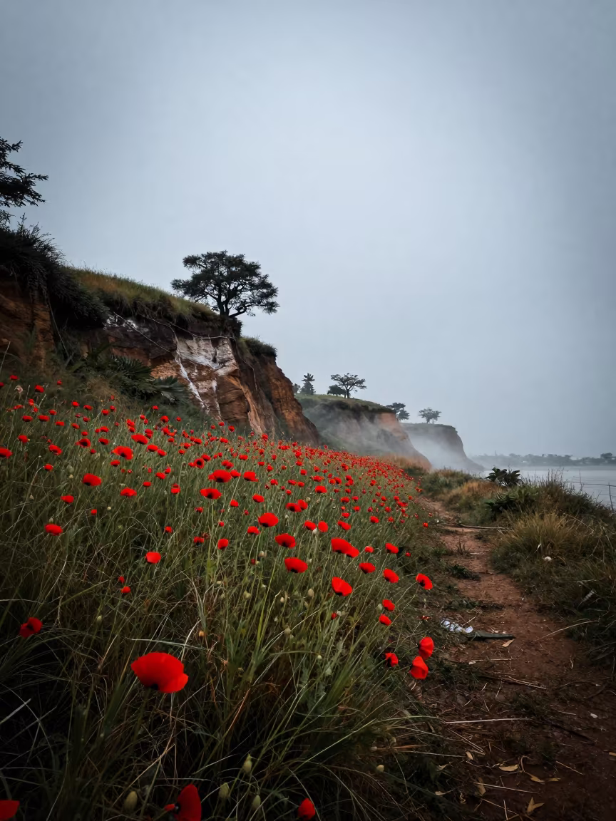 Silhouetted Poppies on Phnom Penh Cliff Edge at Night in along a salt-sprayed cliff edge near Central Market, Phnom Penh