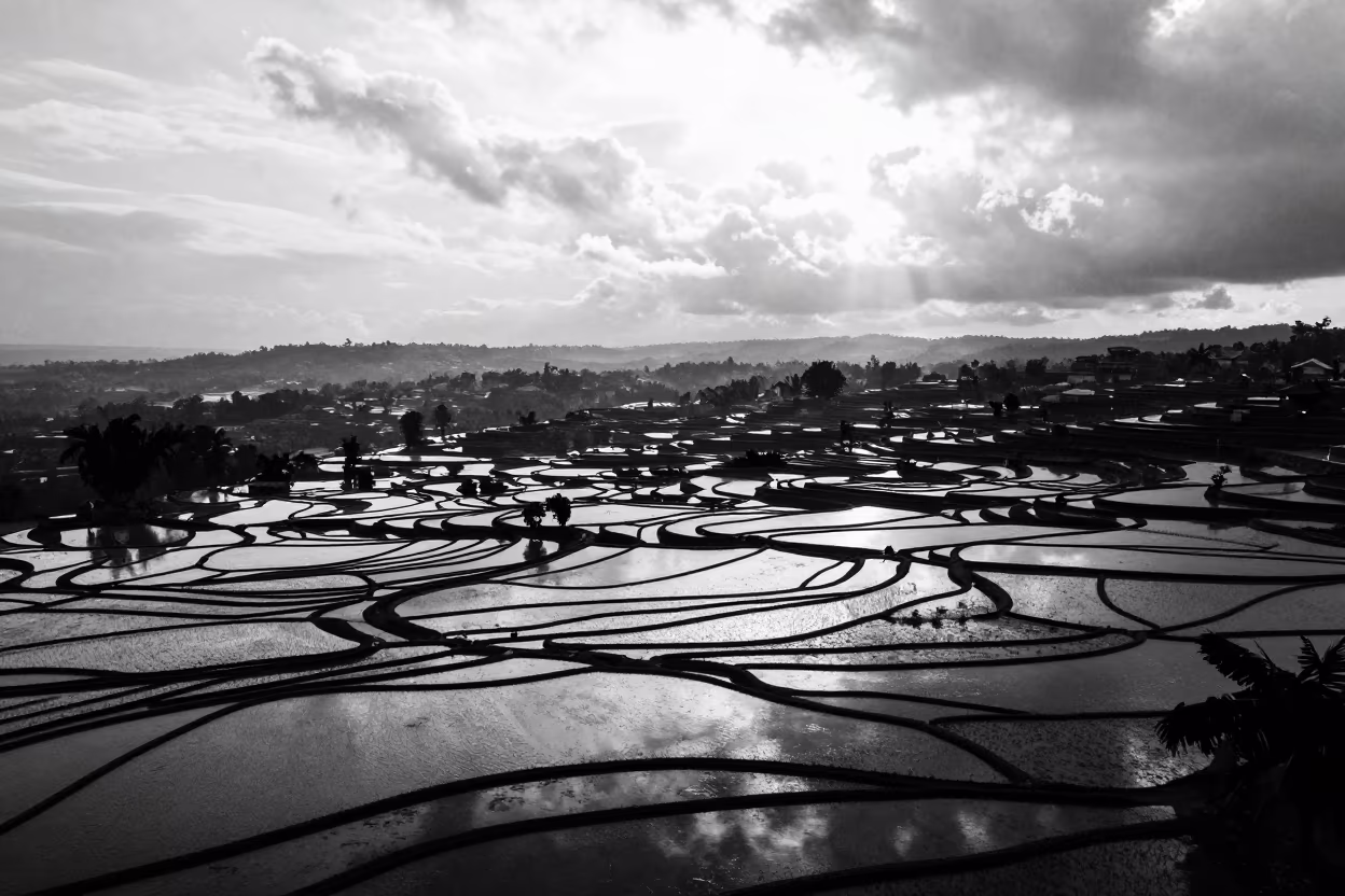 Silhouetted Rice Terraces After Monsoon Rain in across a floodplain after rain in Sierra Leone