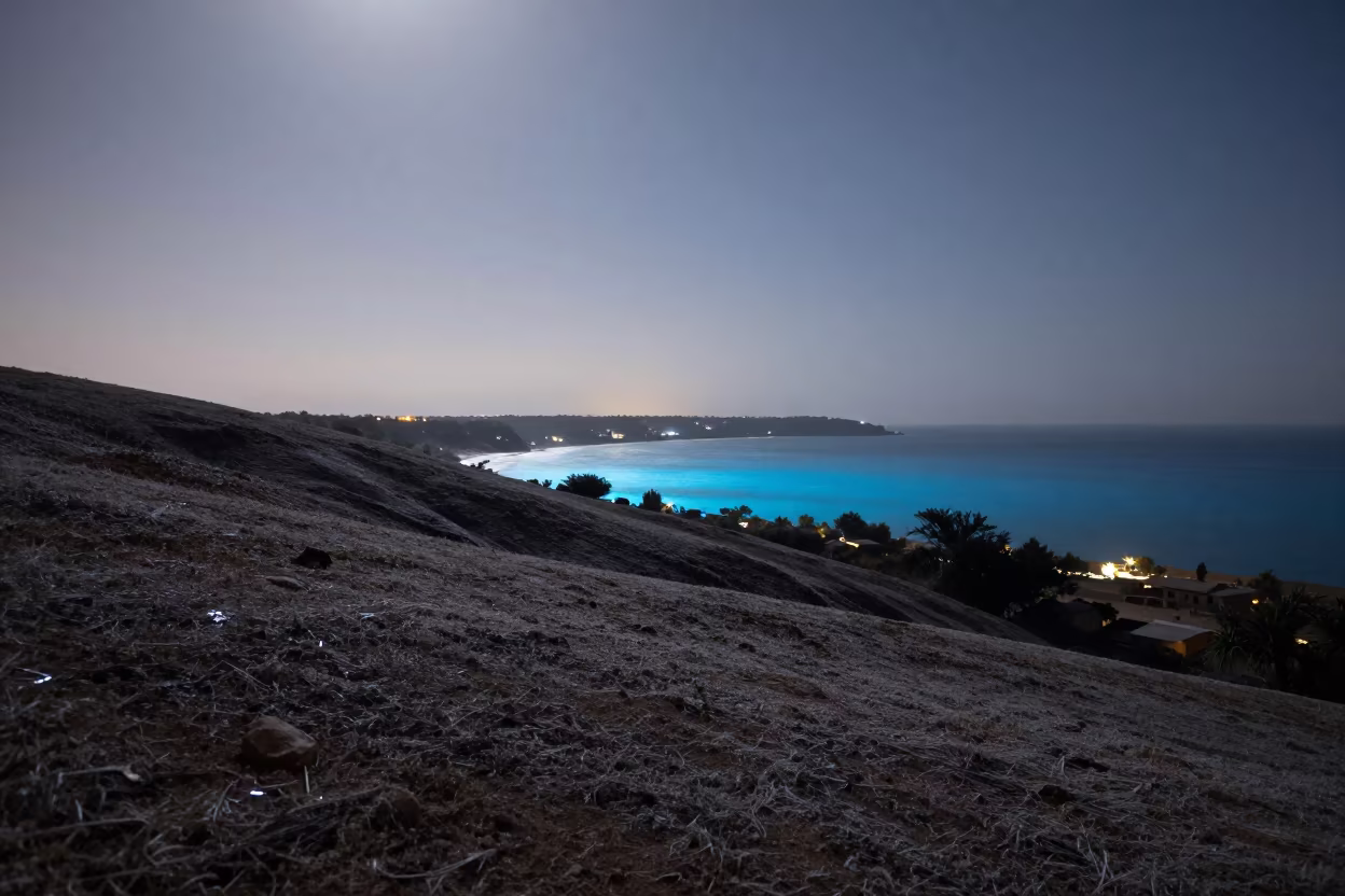 Silhouetted Ridge Over Glowing Blue Bioluminescent Bay in from a frost-hushed ridgeline near Nouakchott