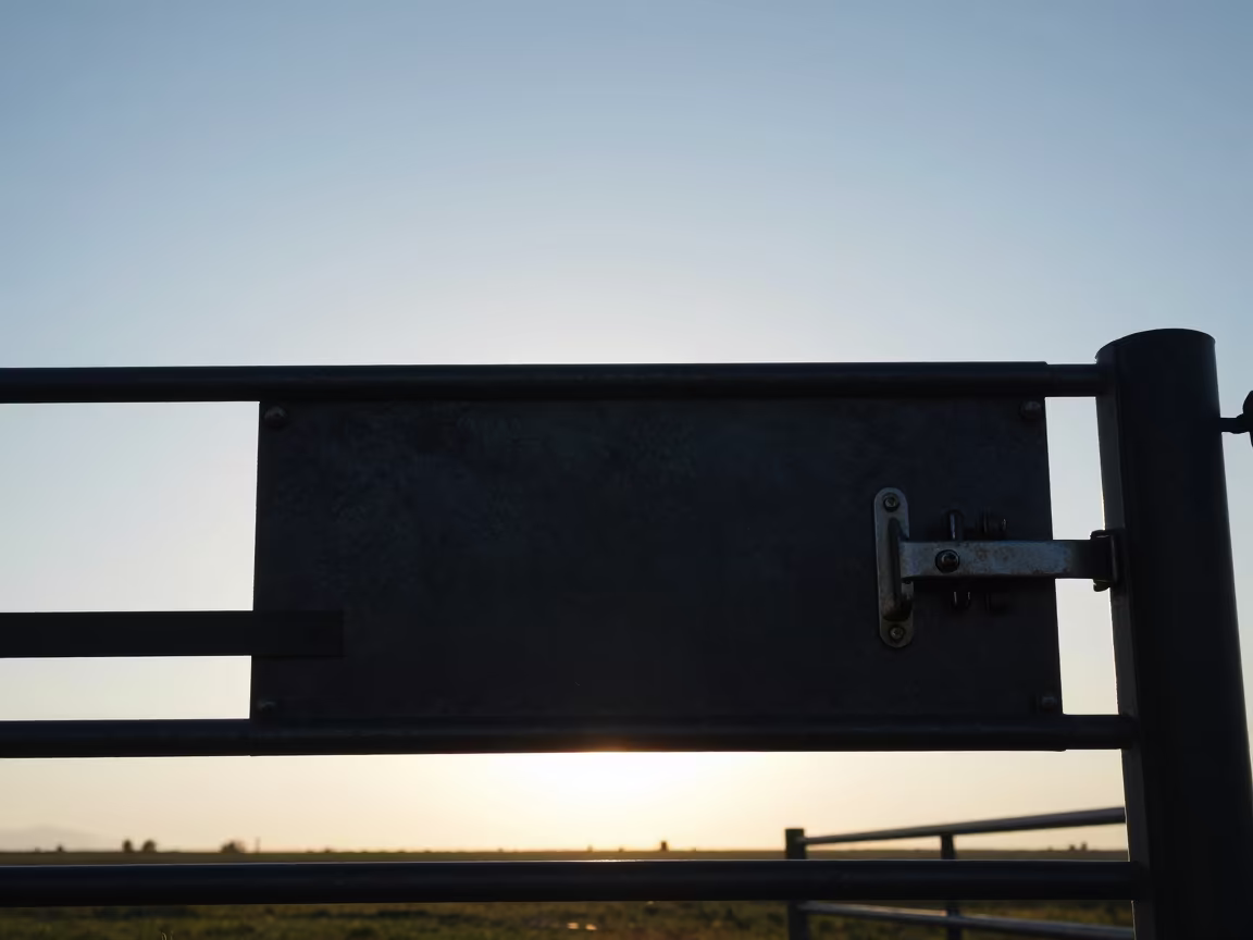Silhouetted Sheep Latch Board Evening Light in inside a ranch corral in Azerbaijan