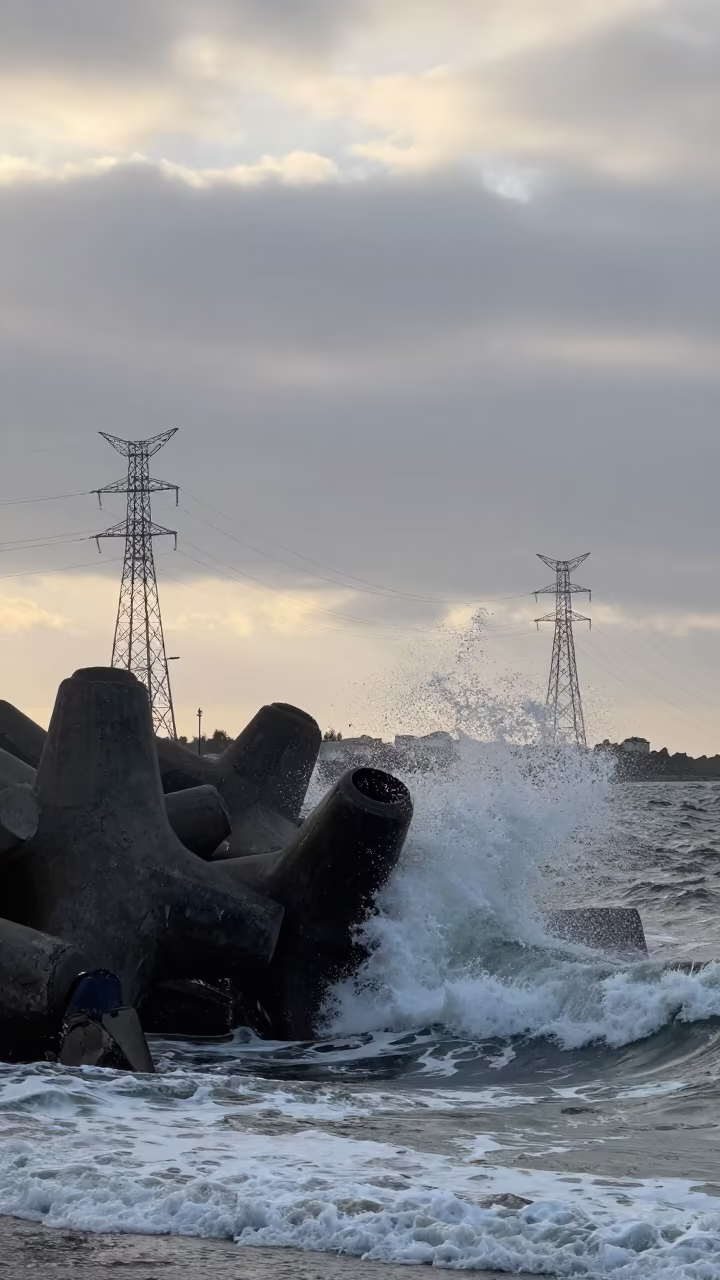 Silhouetted Tetrapods Against Winter Sky in beneath transmission towers in Iran