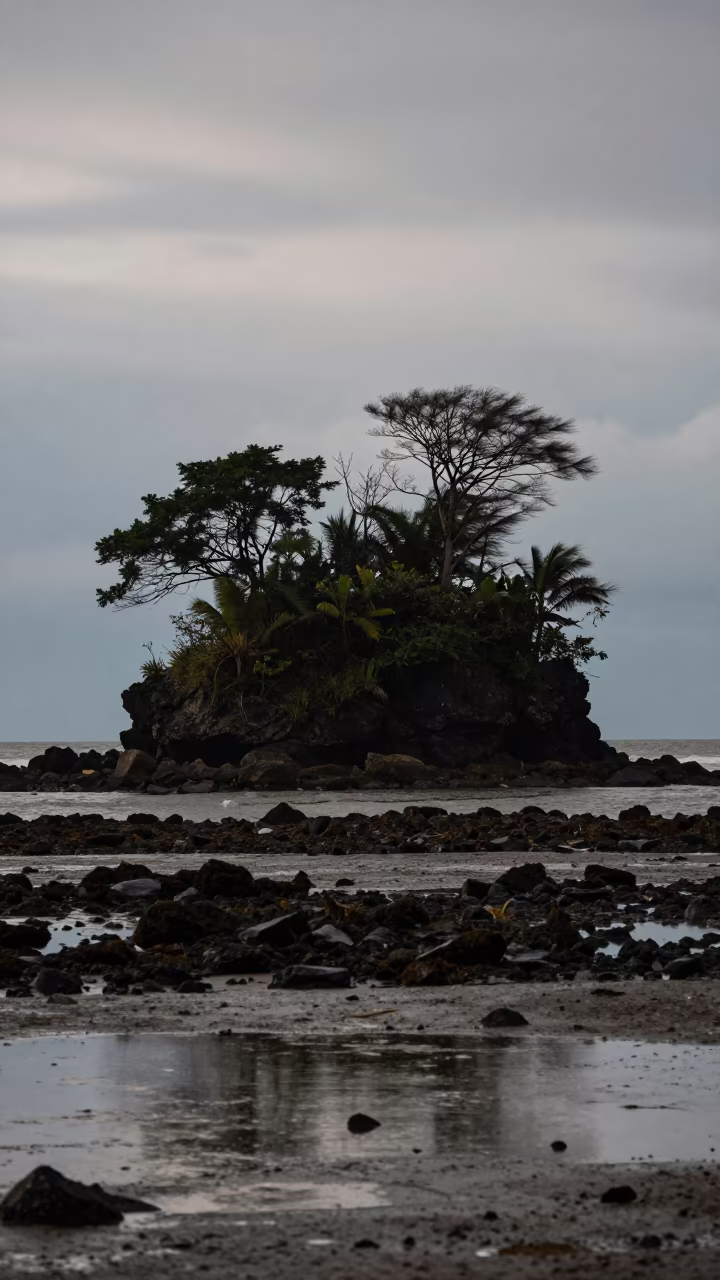 Silhouetted Tombolo Island Against Evening Light in across a floodplain after rain in Costa Rica