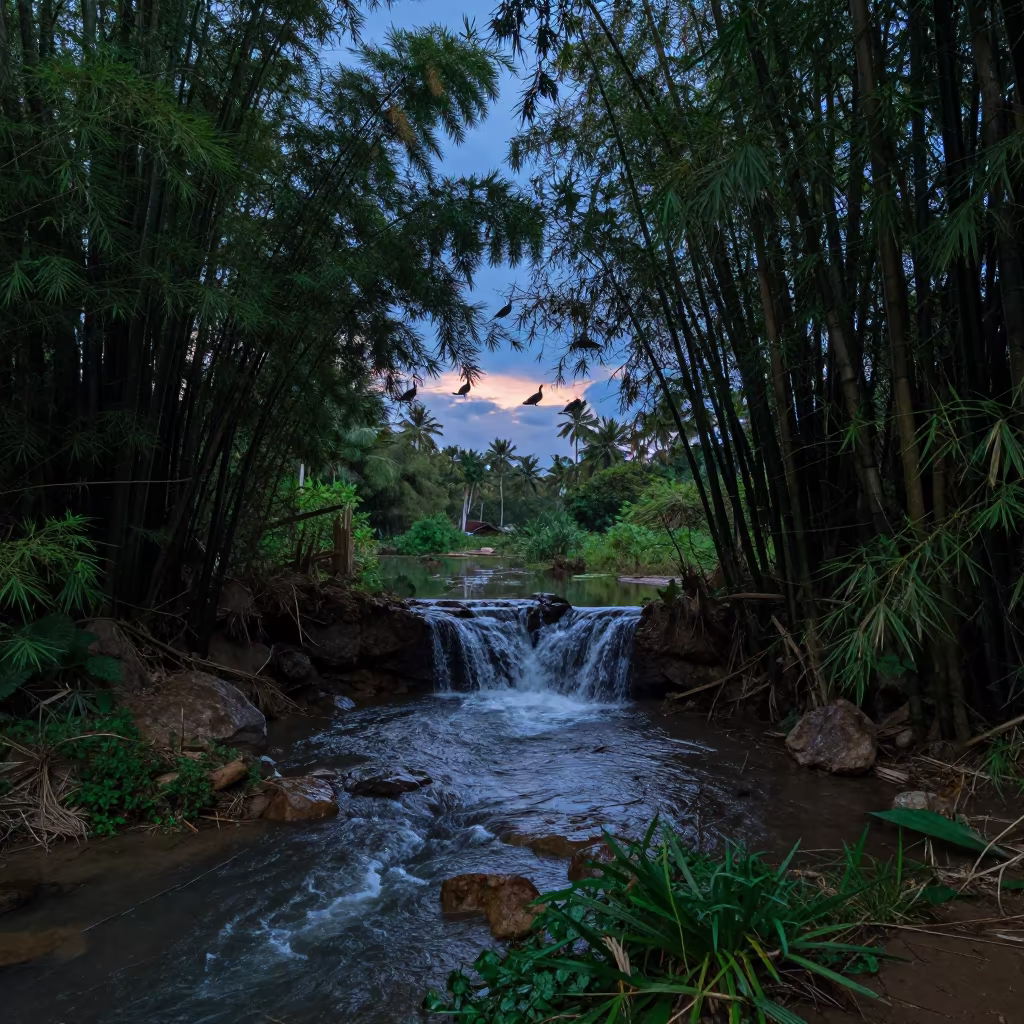 Silhouetted Waterfalls in Maldives Bamboo Forest Twilight in across a floodplain after rain in Maldives