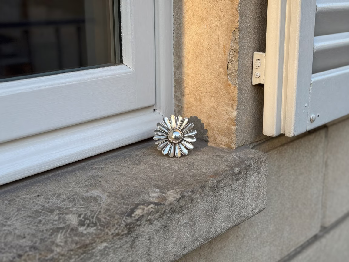 Silver Brooch in Paris in in Paris, France