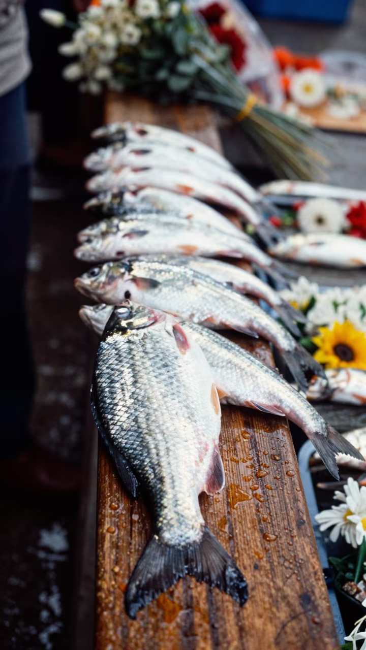 Silver Fish Market Rail After Rain Kabul in at a flower auction bench in Kabul