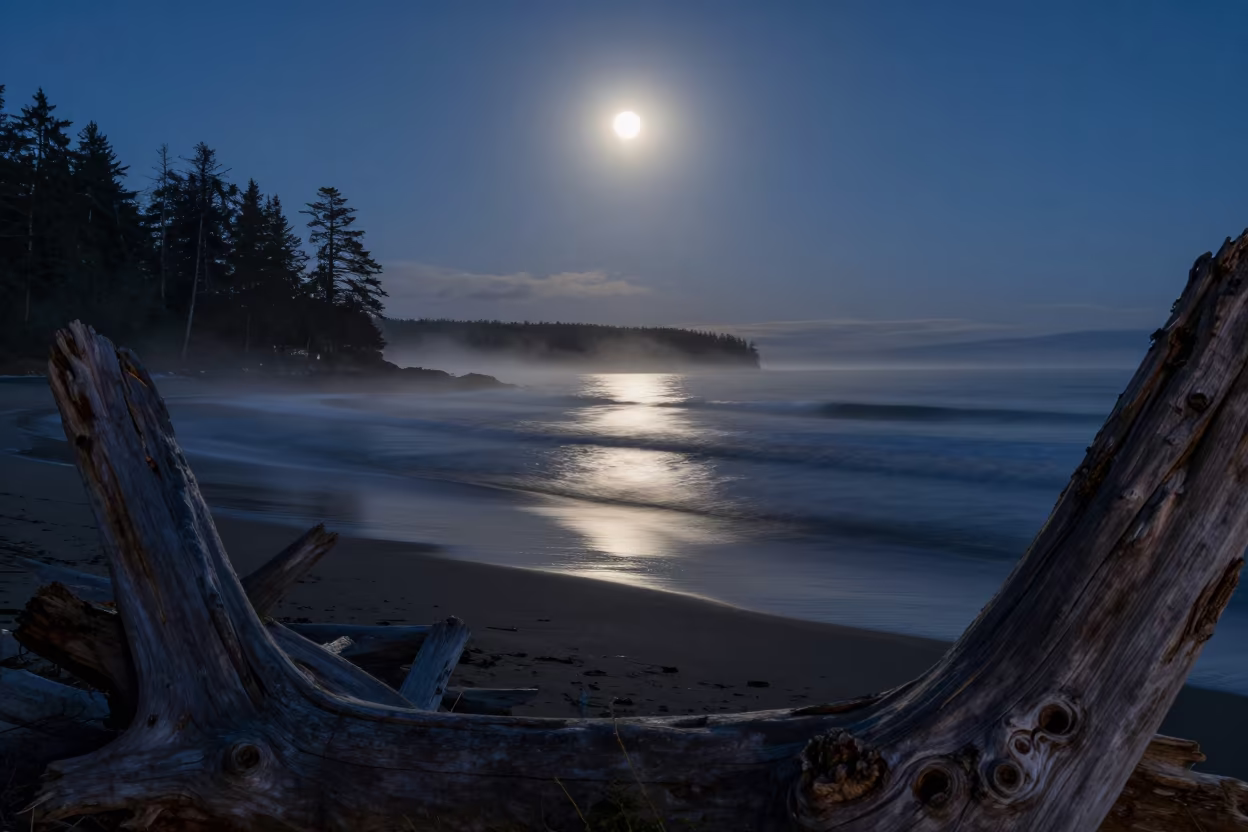 Silver Supermoon Waves British Columbia Winter Shore in along a dark shoreline with tidal glow in British Columbia