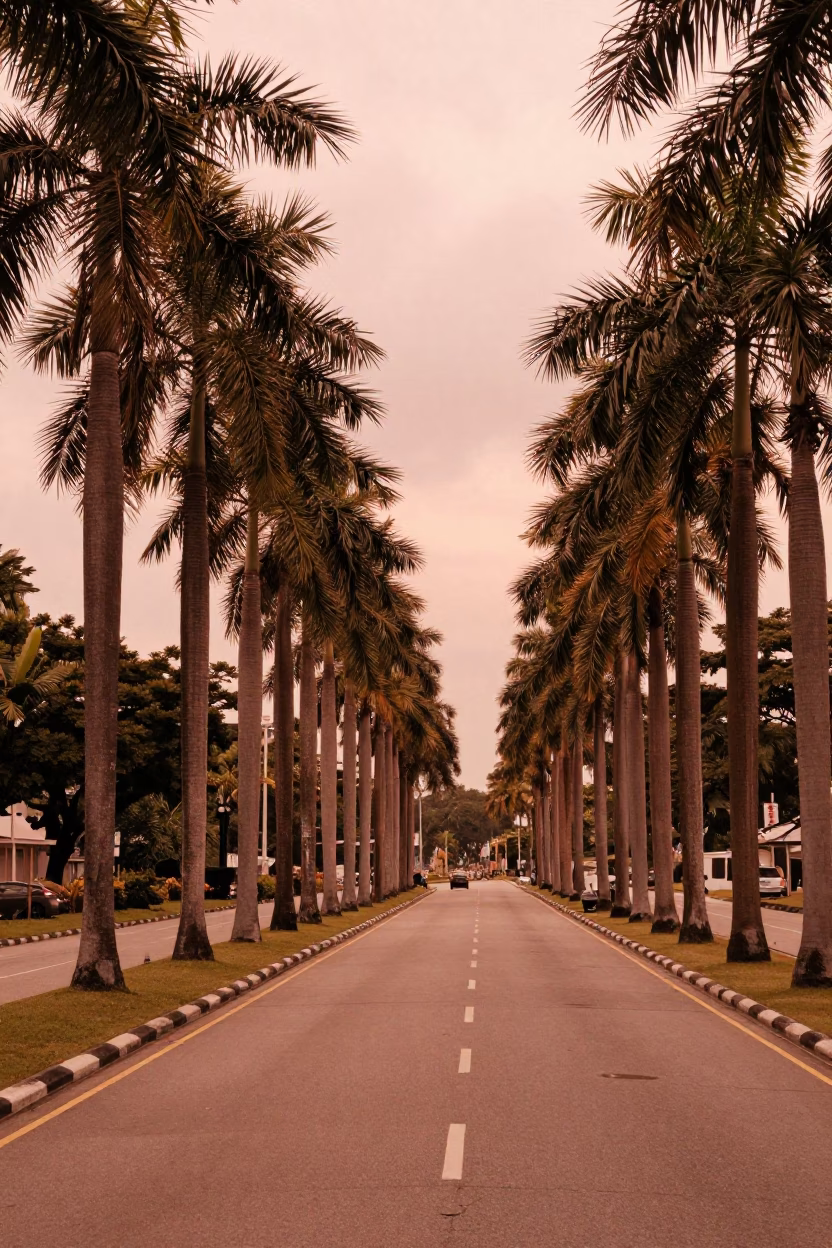 Singapore Boulevard Palm Tree Avenue Copper Toned Light Before Dusk Landscape Horizon in in Singapore, Singapore