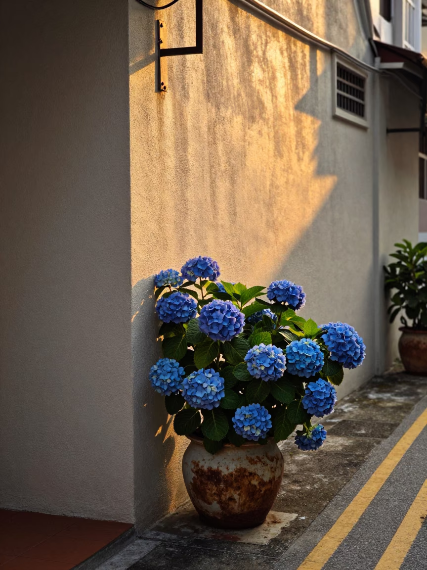 Singapore Street Scene at Honeyed Evening Light in in Singapore, Singapore