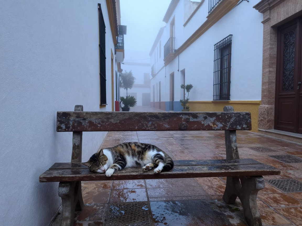 Sleeping Cat in Seville in in Seville, Spain