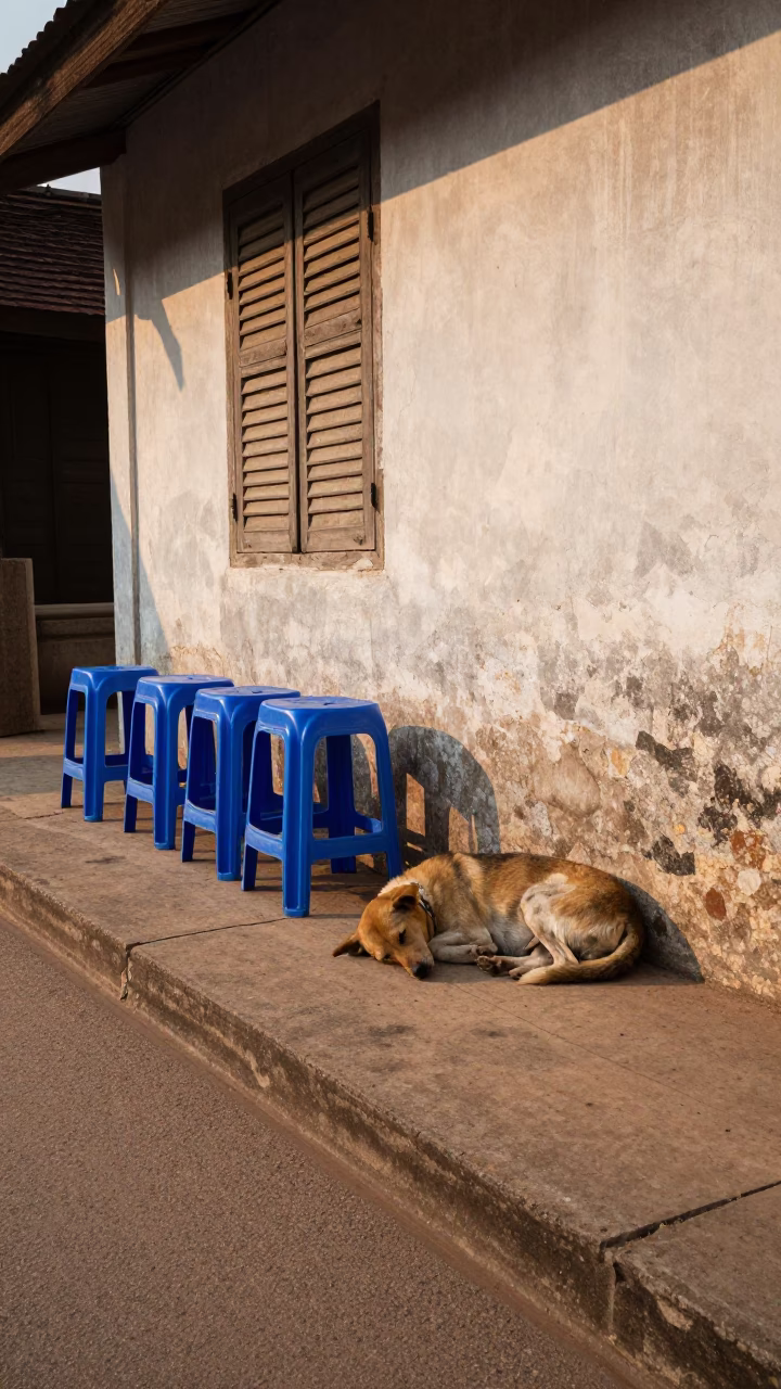 Sleeping Dog in Luang Prabang in in Luang Prabang, Laos