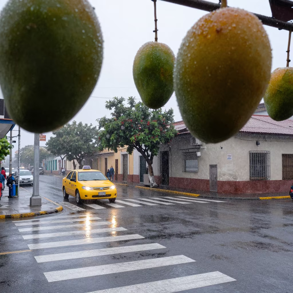 Sleet Crosswalk Under Giant Fruit Sky in outside a corner cafe in Santiago de los Caballeros