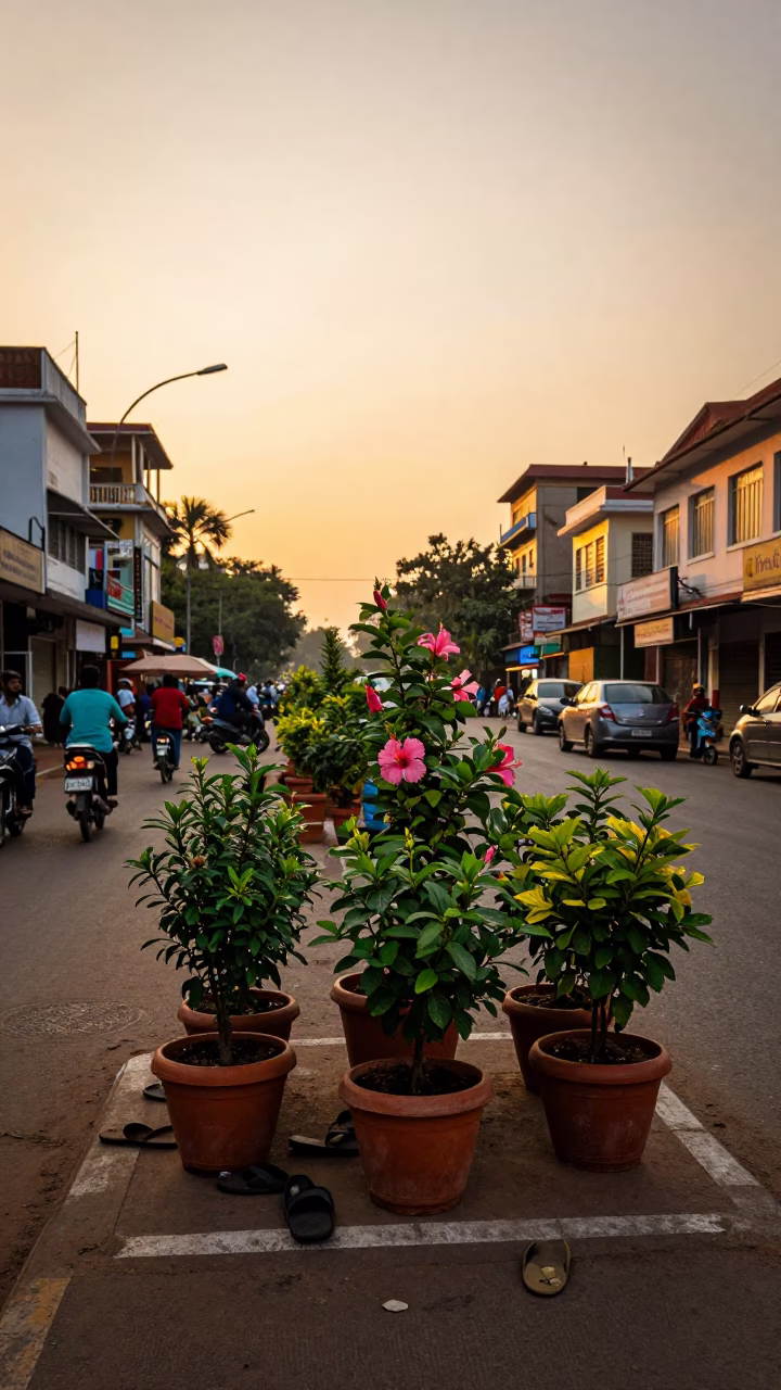 Slippers at Golden Hour in Chennai in in Chennai, India
