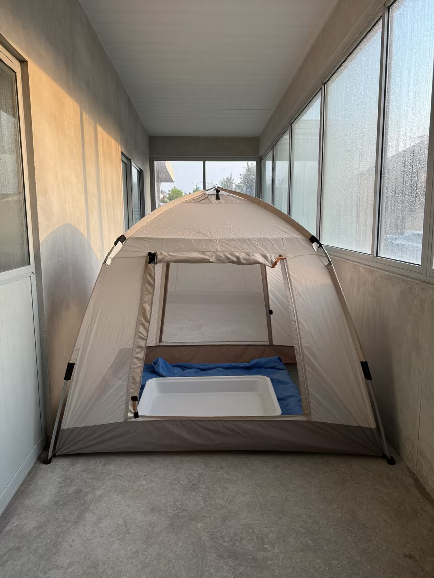 Small Animal Recovery Tent in Kennel Corridor in in a boarding kennel corridor near Kahramanmaraş
