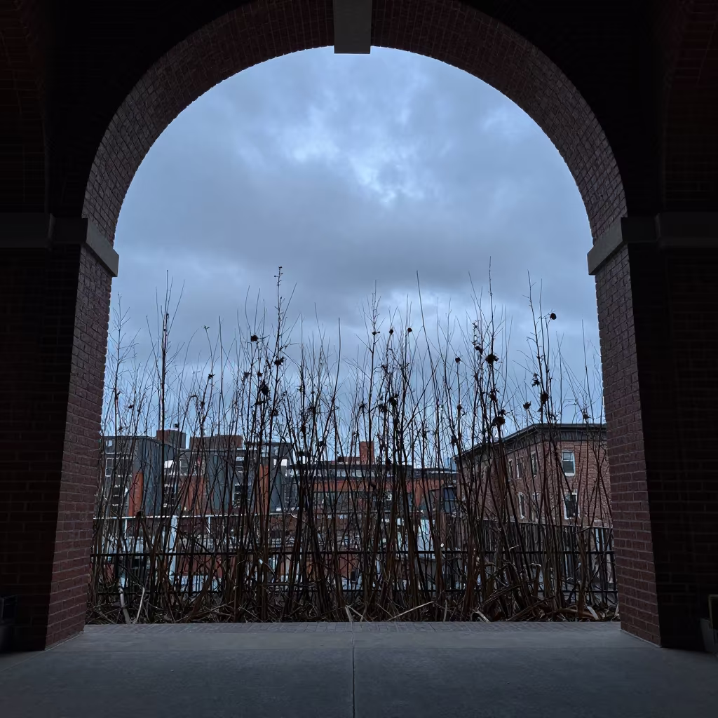 Snapdragon Silhouette in Corktown Atrium Evening in inside a vaulted atrium in Corktown, Detroit