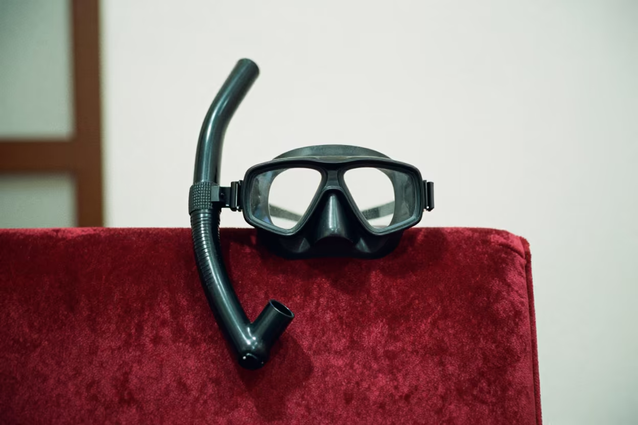 Snorkel Resting on Velvet Chair Near Hillah in on a velvet chair near Hillah