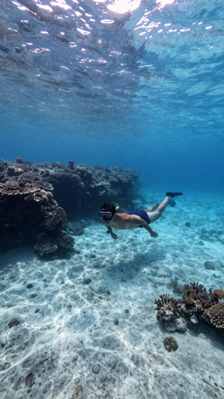 Snorkeler Above Shallow Coral Garden Zanzibar in beside a volcanic reef overhang near Zanzibar