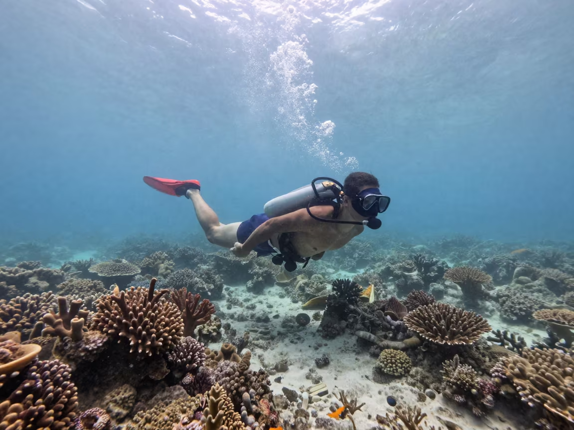 Snorkeler Floating Above Shallow Coral Garden in beside a reef crevice under clear water near Cebu