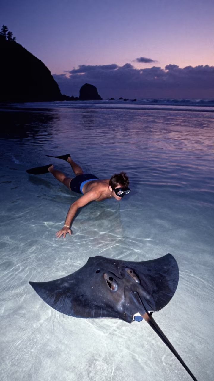 Snorkeler Over Stingray in Oregon Twilight in in Oregon