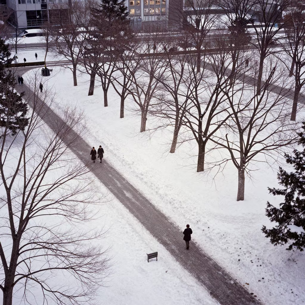 Snow Covered Sapporo Park in Late Afternoon Thaw in near Sapporo