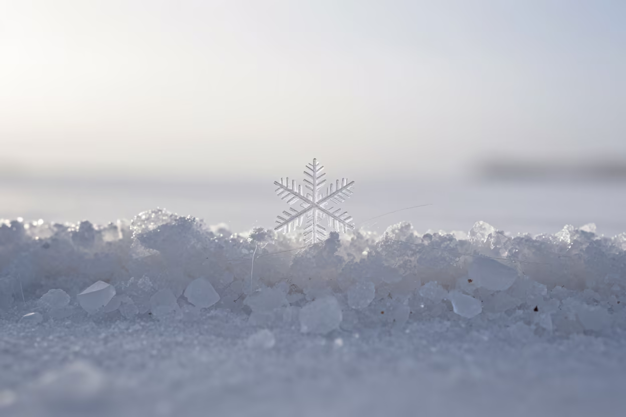 Snowflake Crystal Wool Fiber Macro in on salt crystals along a pan rim in Palermo Hollywood, Buenos Aires