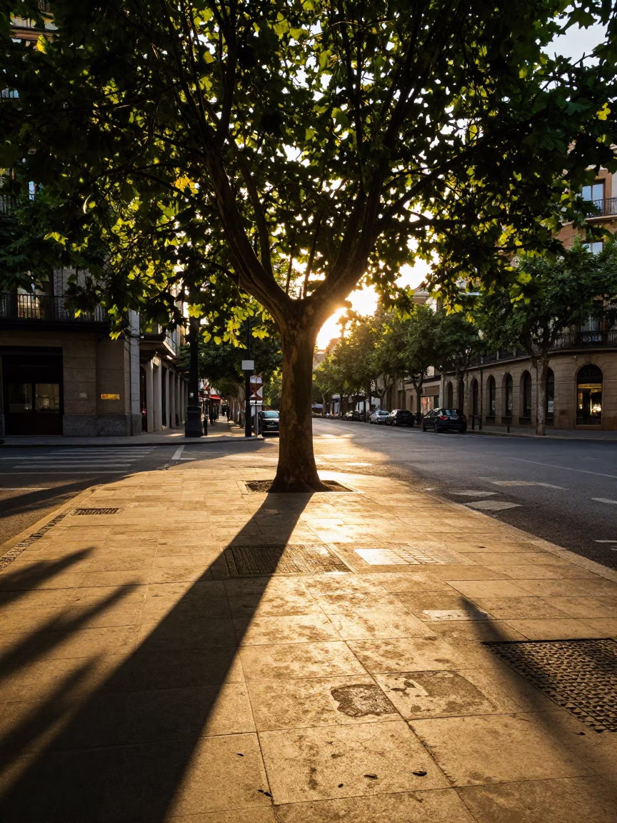 Spanish Street Corner in Bilbao at Sunset Light in in Bilbao, Spain