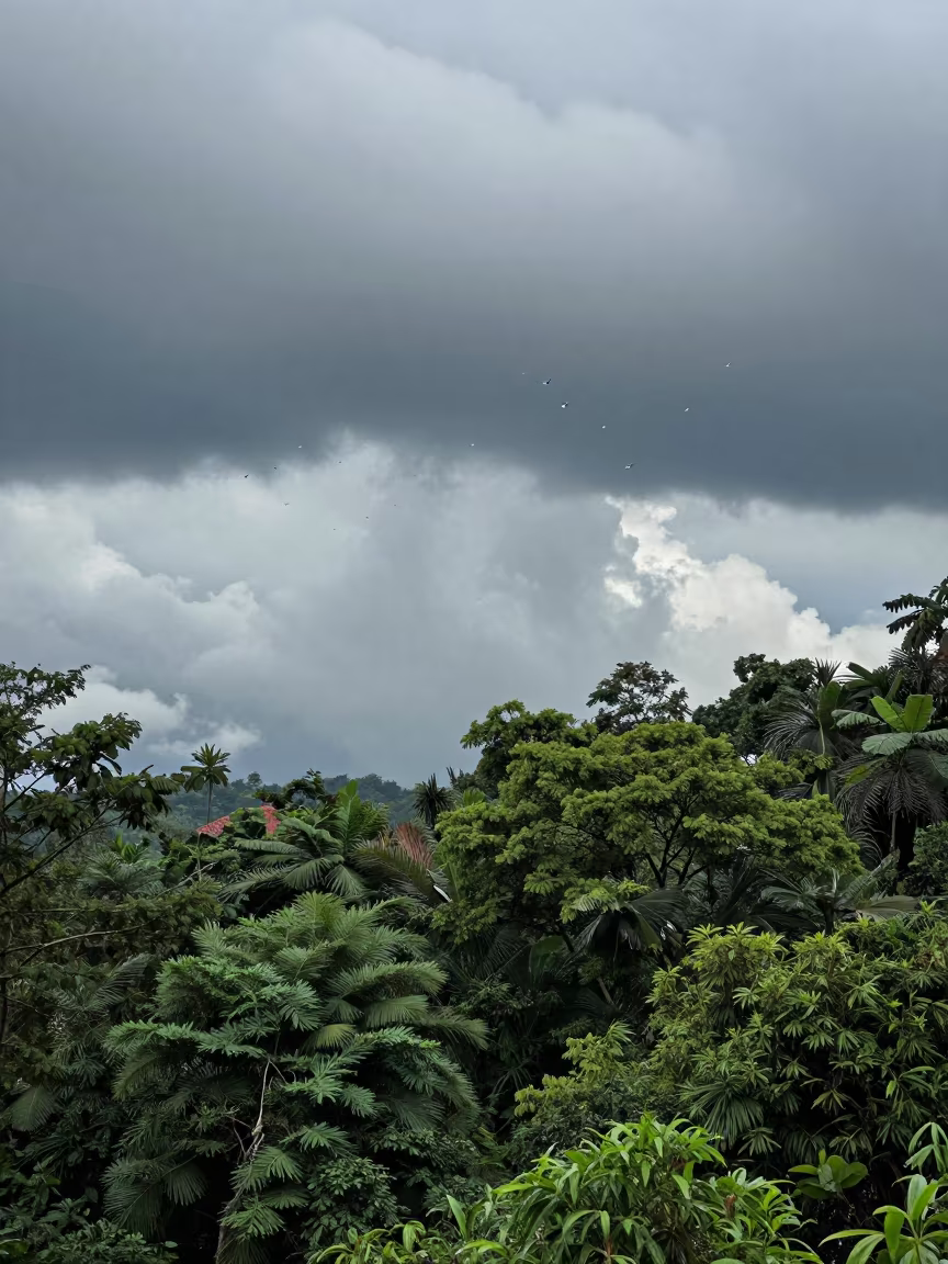 Sprites Dancing Over Meghalaya Thunderstorm Clouds in in Meghalaya