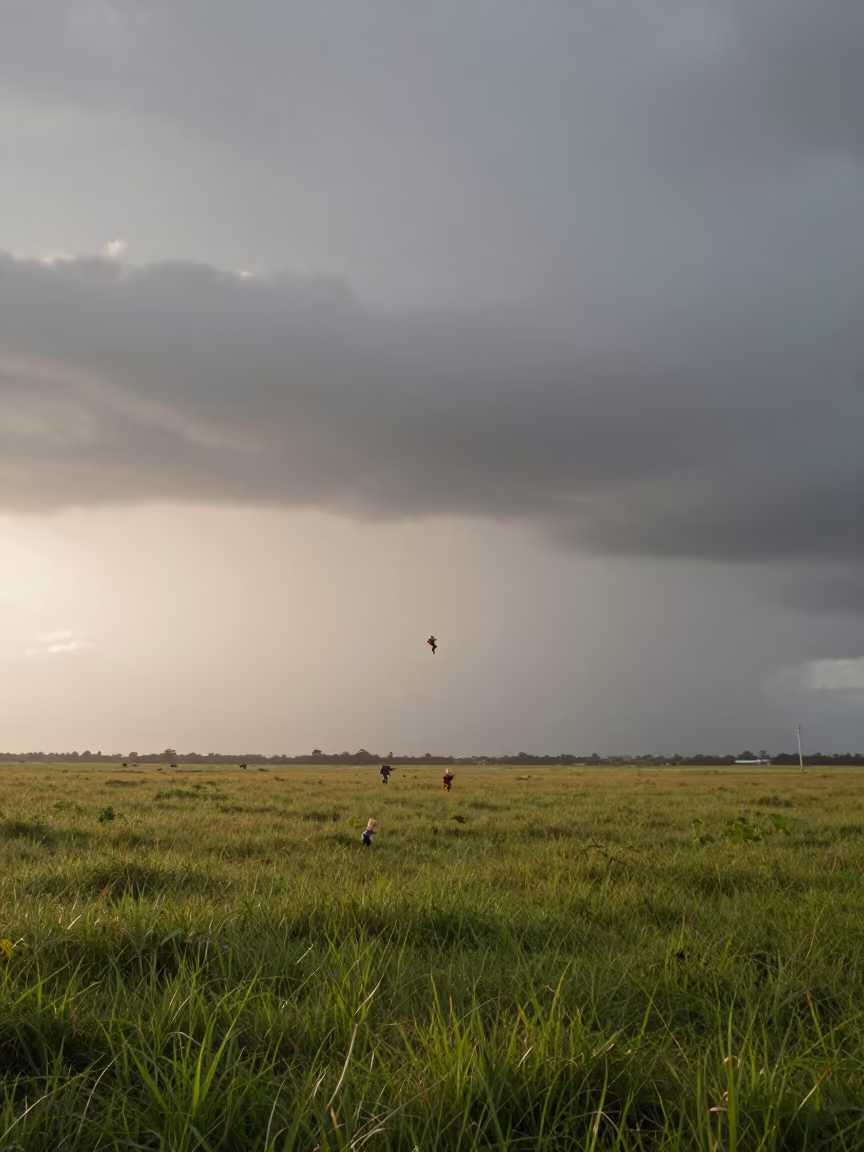 Sprites Hovering Over Brazil Thunderstorm Plain in across a storm-bright plain in Brazil