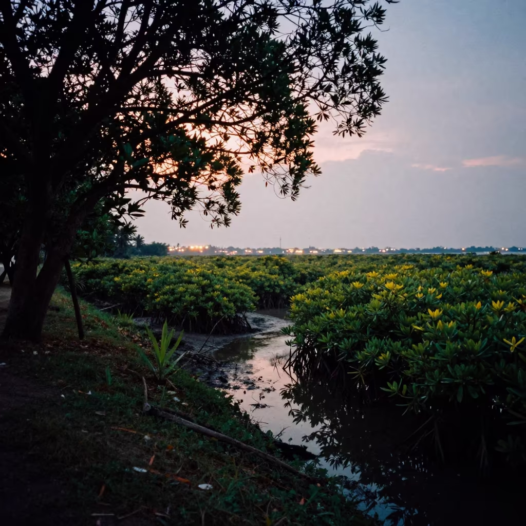 Starlit Mangrove Channel in Ho Chi Minh Meadow in in a bloom-heavy meadow near District 3, Ho Chi Minh City