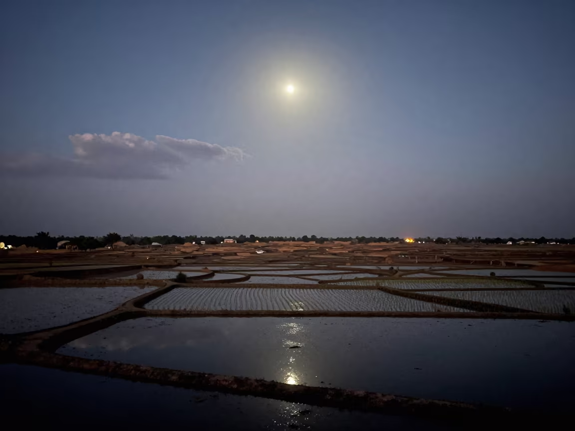 Starlit Rice Terraces Sudan Night Sky in beneath thin cloud gaps and stars in Sudan