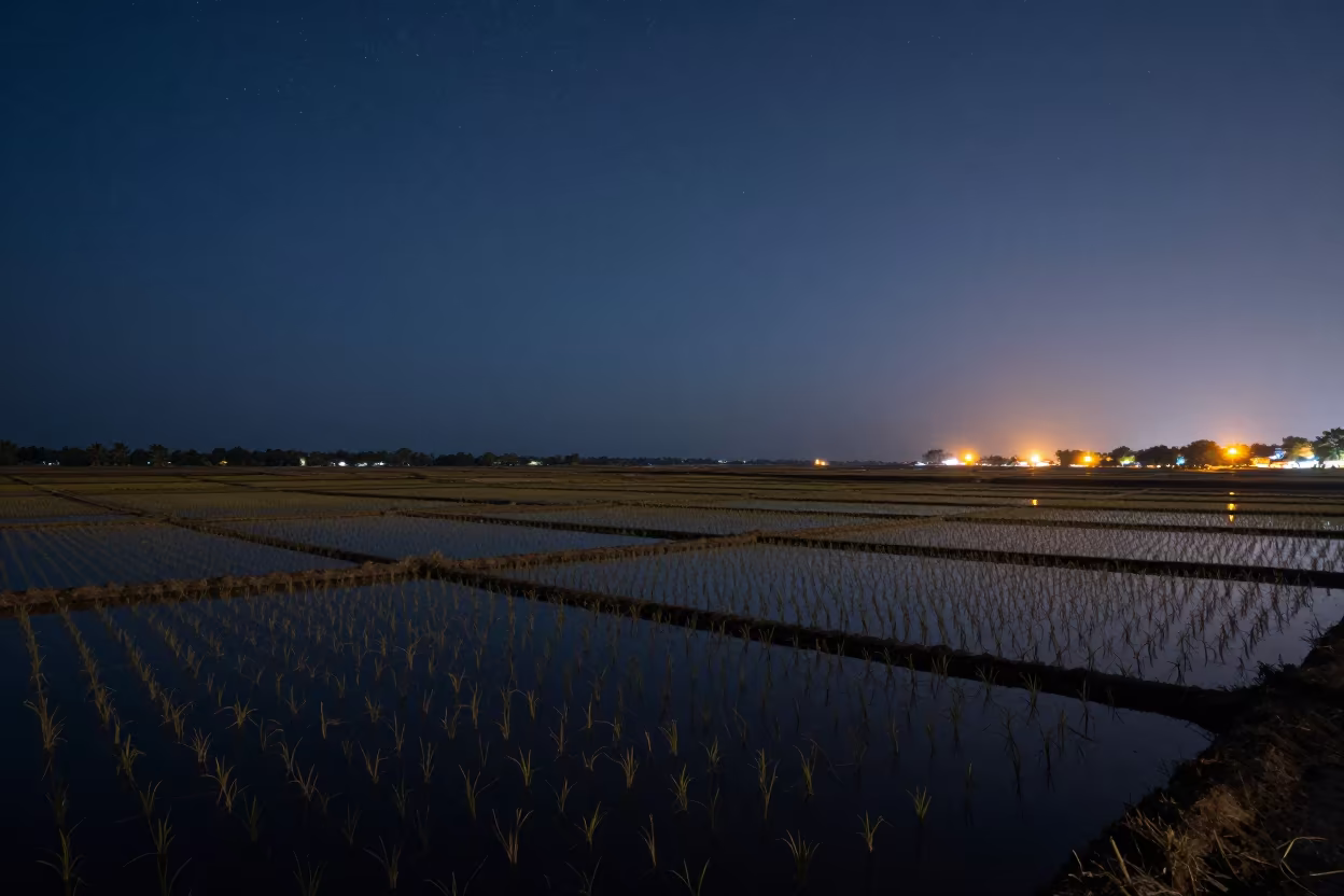 Starlit Terraced Rice Paddies Over Jamnagar Harbor at Midnight in beside a lantern-dotted harbor near Jamnagar