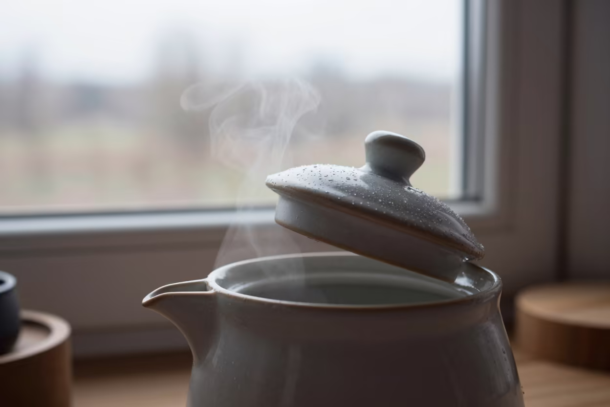 Steam Rising from Earl Grey Teapot Lid in on a window seat near Kamalia