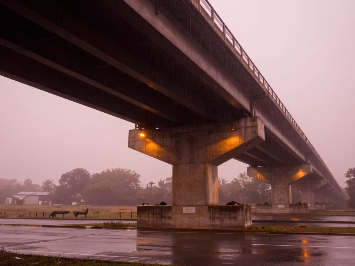 Steel Support Vanishing Into Maracay Fog in across a windy overpass interchange in Maracay