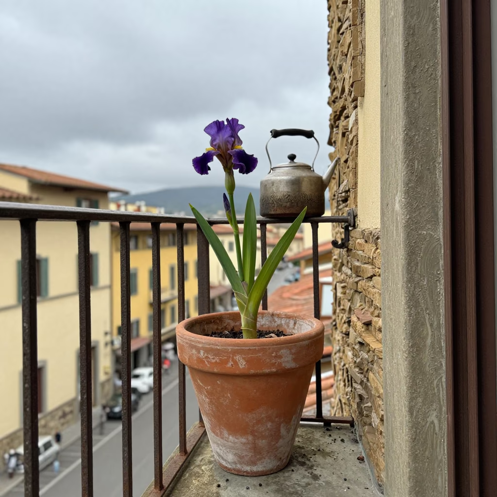 Still Life in Florence in in Florence, Italy