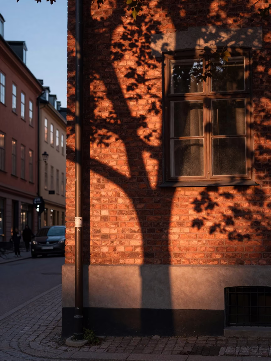 Stockholm Sweden Dusk Street Scene with Leaf Shadows and Window Smudges in in Stockholm, Sweden