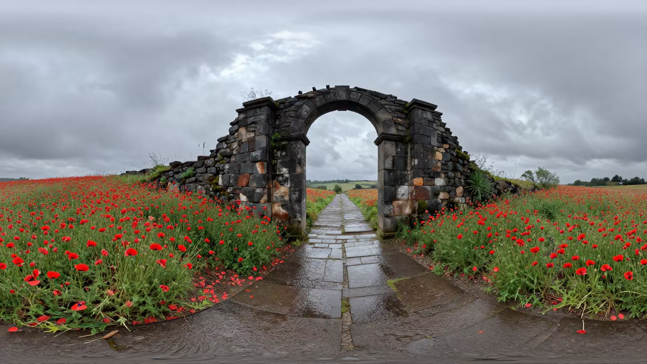 Stone Arch Over Wet Poppies in Rain in beneath a broken stone arch near San-Pédro