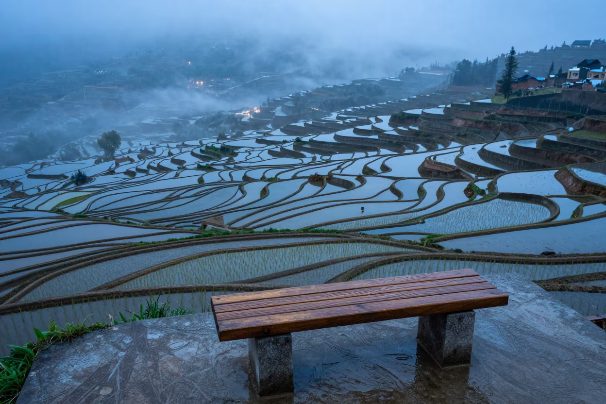 Stone Grain Rice Terraces in Blue Mist in across a floodplain after rain in Campania