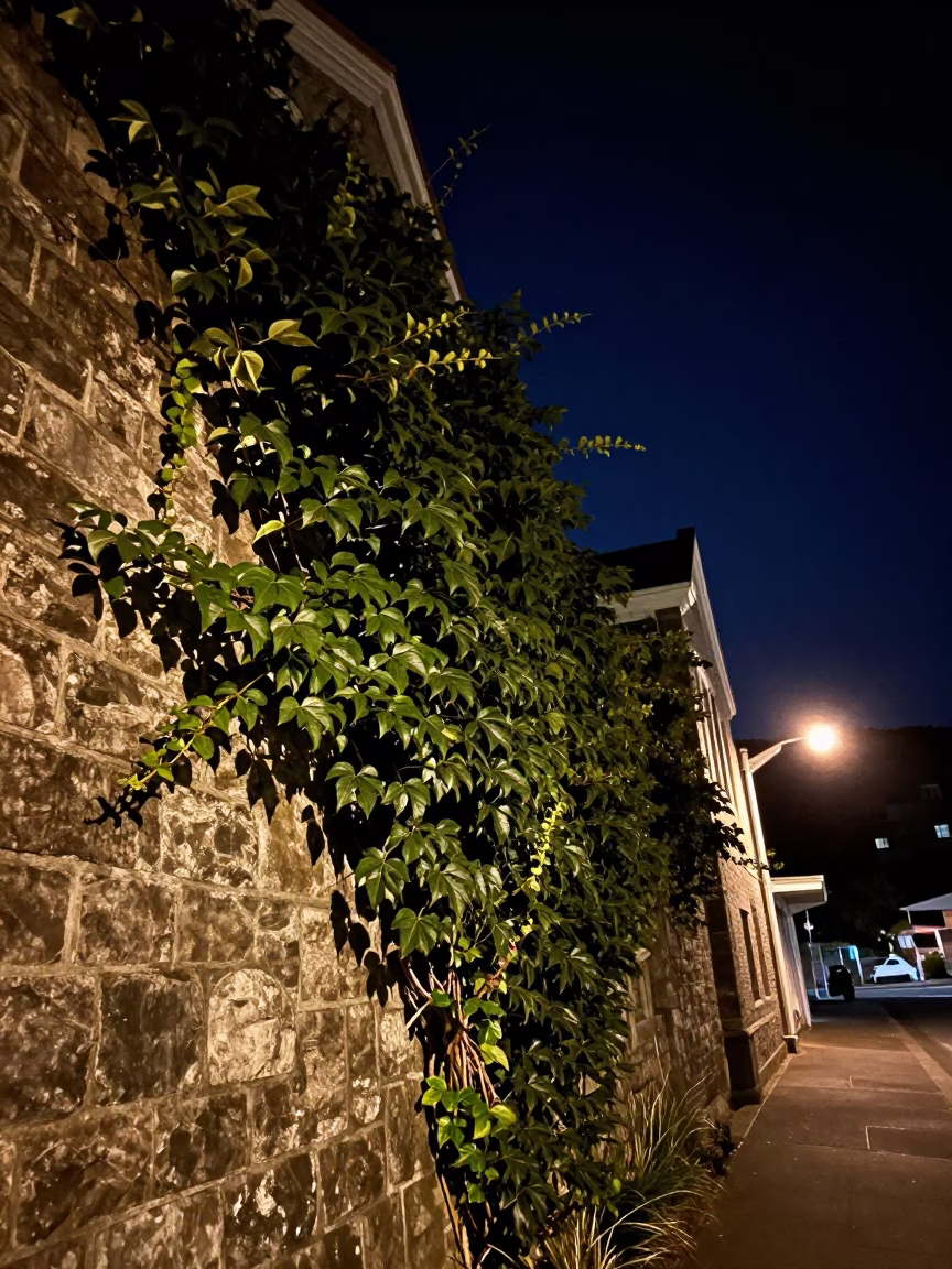 Stone Wall in Wellington at The Deepest Night Sky Light in in Wellington, New Zealand