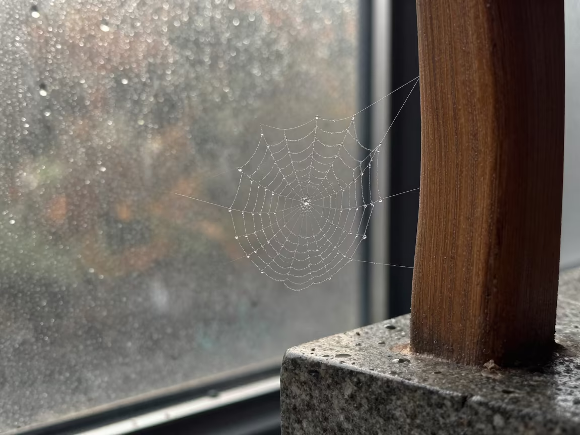 Stone Wood Cobweb Mist Rain Beaded Metal Hangzhou in across a rain-beaded metal surface in Hangzhou