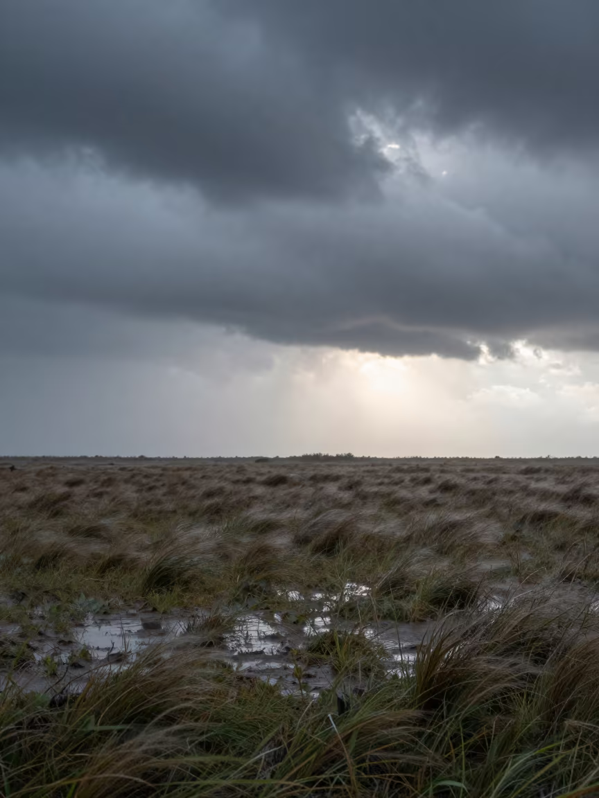 Storm Clouds Over Vietnamese Prairie at Dawn in across a storm-bright plain in Vietnam