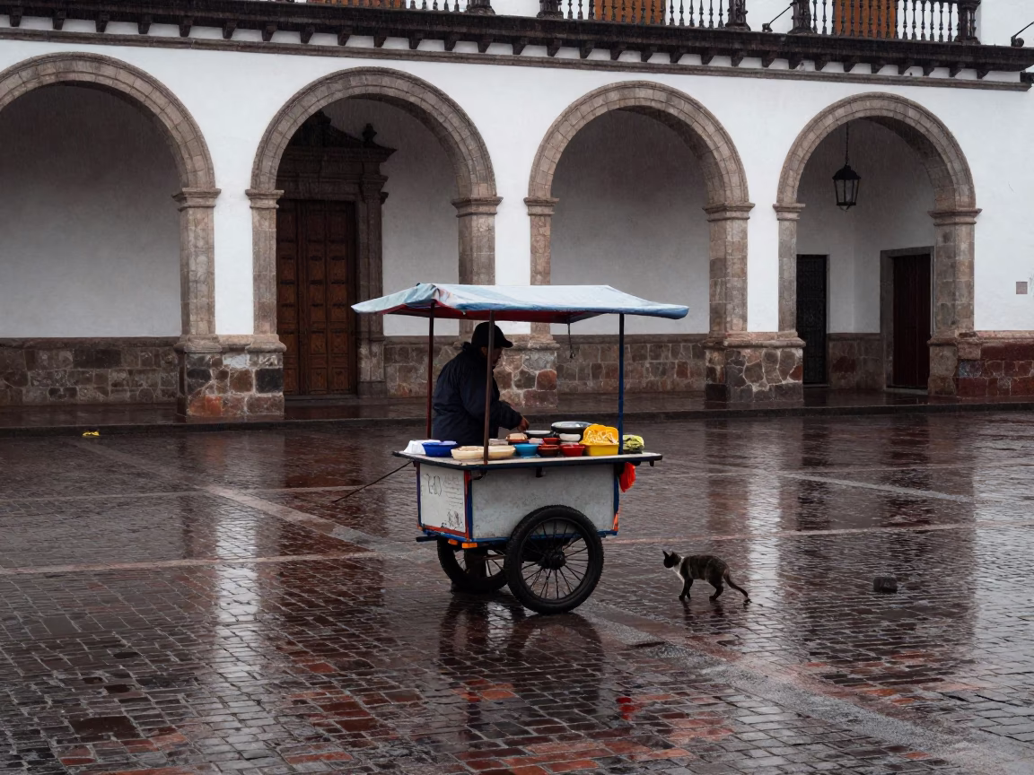 Stray Cat in Quito in in Quito, Ecuador