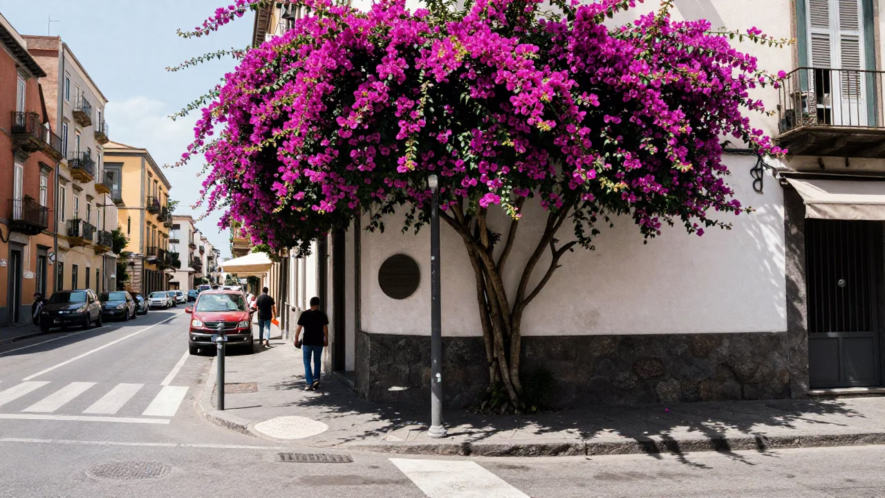 Street Corner at The Flat Glare Of Noon Light in Naples in in Naples, Italy