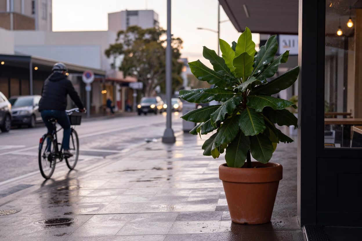 Street Corner in Adelaide in in Adelaide, South Australia, Australia