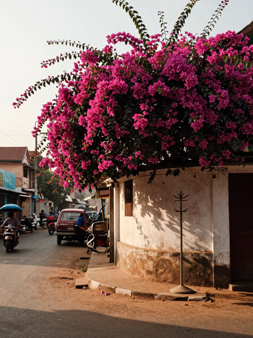Street Corner in Chennai at The Late Afternoon Light in in Chennai, India