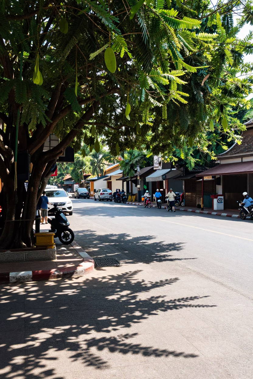 Street Corner in Chiang Mai at Bright Midmorning Light in in Chiang Mai, Thailand