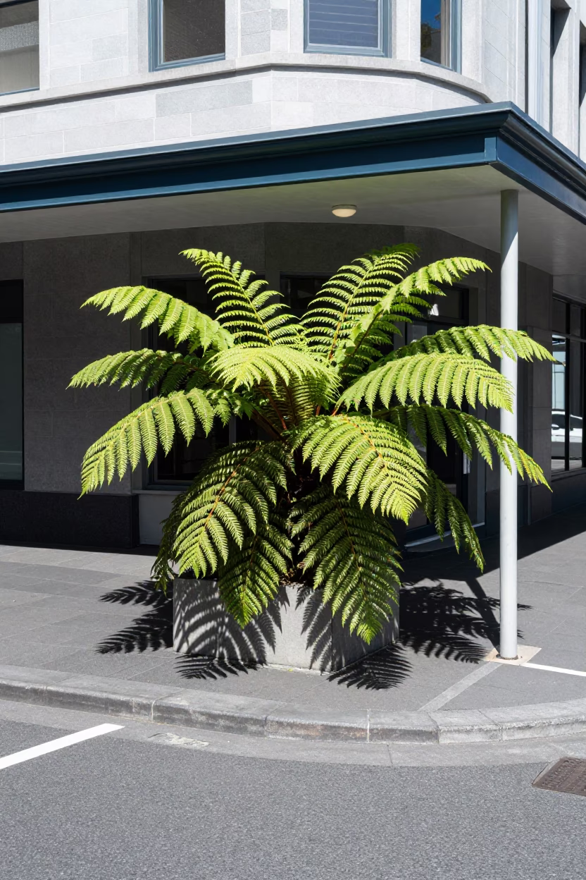 Street Corner in Christchurch at Flat Noon Light in in Christchurch, New Zealand