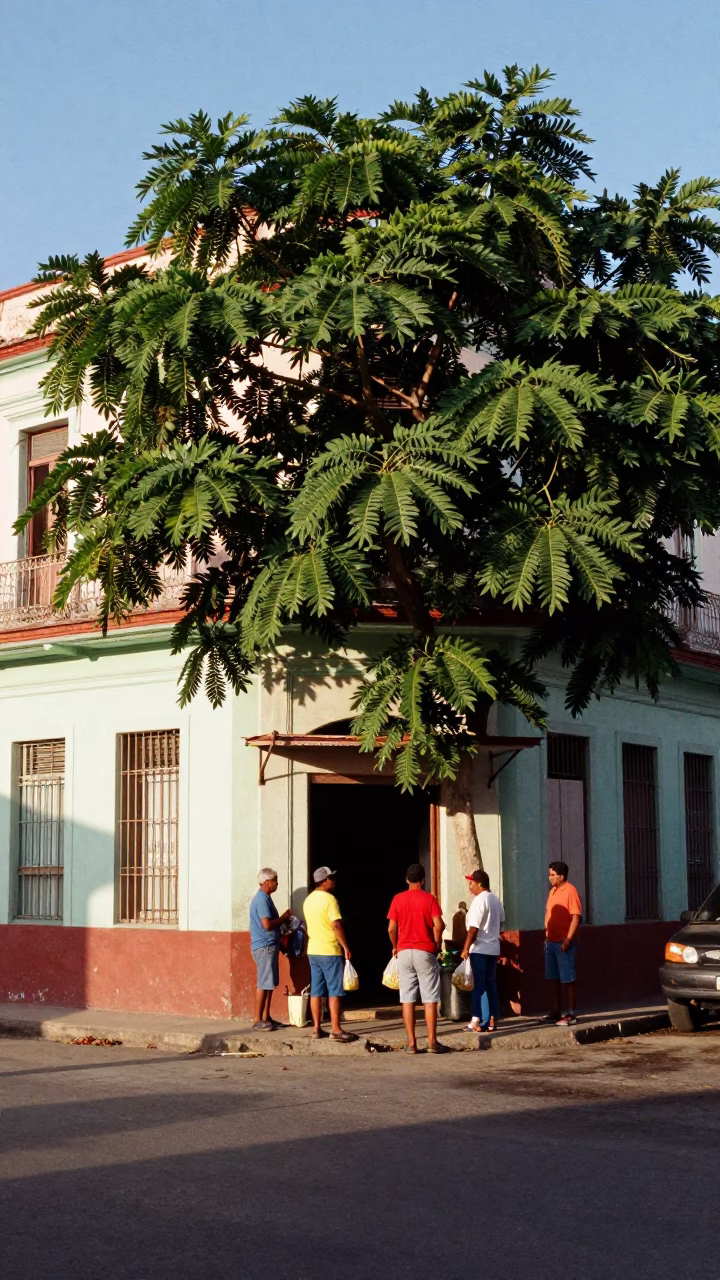 Street Corner in Havana at Clear Late-afternoon Light in in Havana, Cuba
