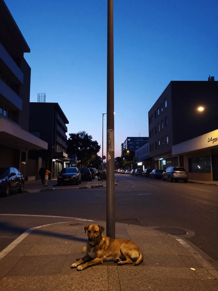 Street Corner in Johannesburg at Blue Hour in in Johannesburg, South Africa
